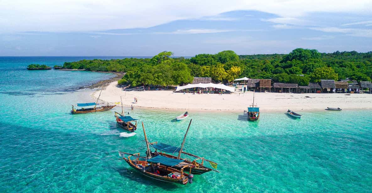 Safari Blue and Sandbank Relaxation