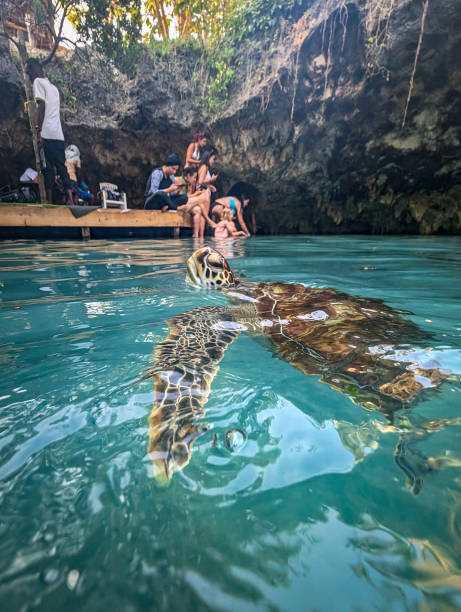 3 Day Zanzibar Escape