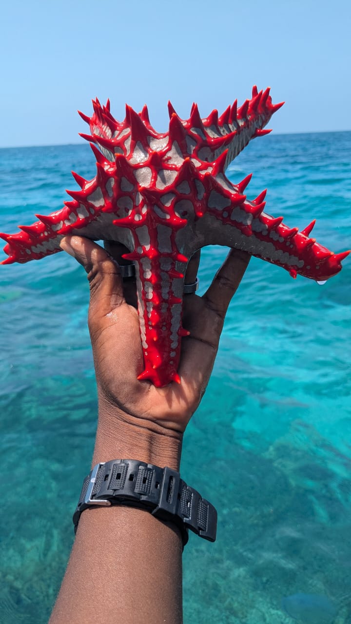 5 Day Zanzibar Experience